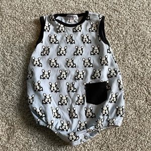 9m French Bulldog Outfit